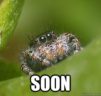  soon  Misunderstood Spider