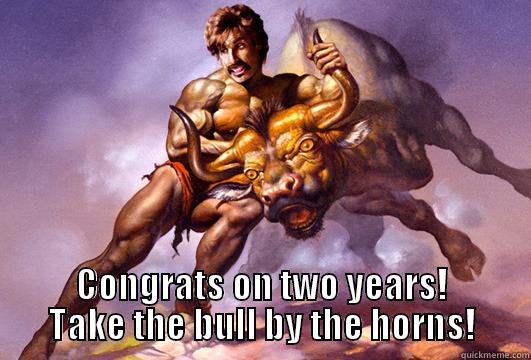  CONGRATS ON TWO YEARS! TAKE THE BULL BY THE HORNS! Misc