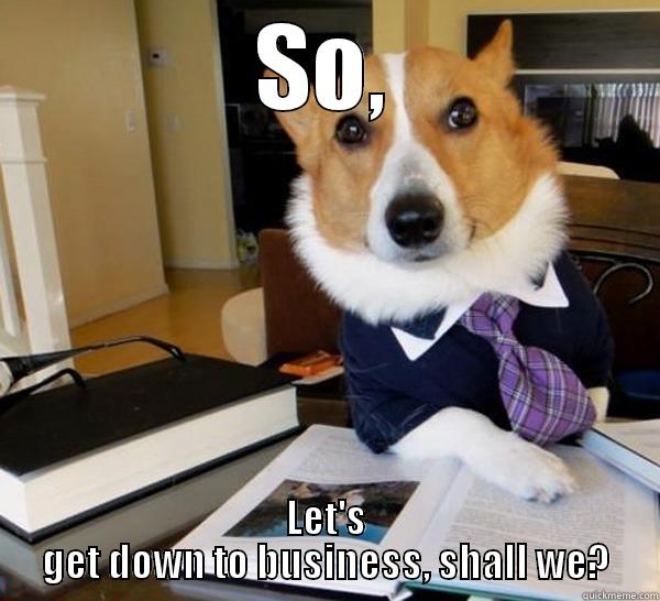 SO, LET'S GET DOWN TO BUSINESS, SHALL WE? Lawyer Dog