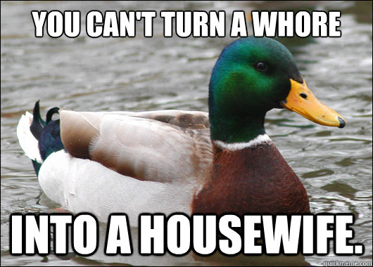 You can't turn a whore Into a housewife.  BadBadMallard