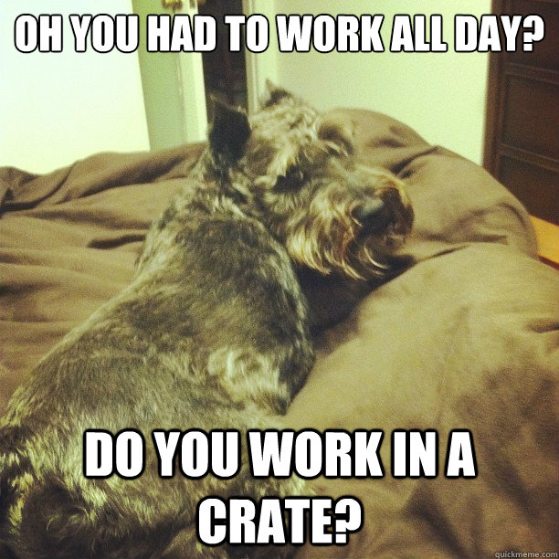 Oh you had to work all day? do you work in a crate?  