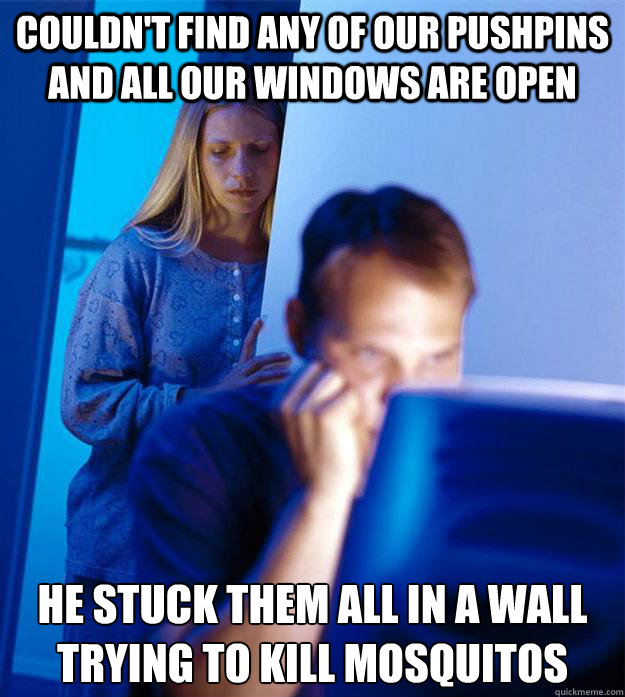 Couldn't find any of our pushpins and all our windows are open He stuck them all in a wall trying to kill mosquitos  Redditors Wife