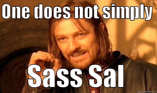 ONE DOES NOT SIMPLY  SASS SAL Boromir