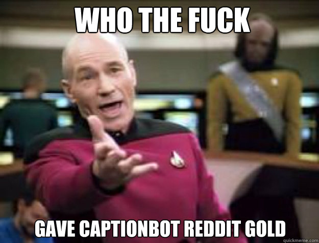 WHO THE FUCK gave Captionbot reddit gold - WHO THE FUCK gave Captionbot reddit gold  Misc