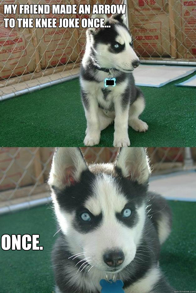 My friend made an arrow 
to the knee joke once... once.  Insanity puppy