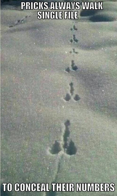 Pricks in the Desert -      PRICKS ALWAYS WALK SINGLE FILE   TO CONCEAL THEIR NUMBERS Misc