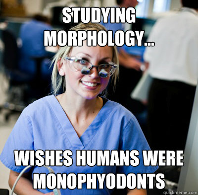 Studying morphology...
 wishes humans were monophyodonts 
 - Studying morphology...
 wishes humans were monophyodonts 
  overworked dental student