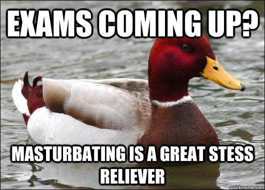 exams coming up? Masturbating is a great stess reliever  Malicious Advice Mallard