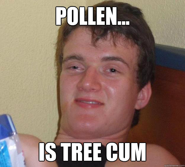 Pollen... is tree cum - Pollen... is tree cum  10 Guy