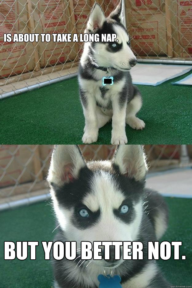 Is about to take a long nap. But you better not.  Insanity puppy
