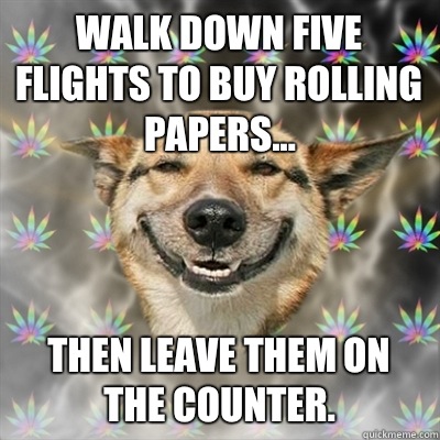 Walk down five flights to buy rolling papers... Then leave them on the counter.   Stoner Dog