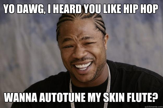 Yo dawg, I heard you like hip hop Wanna autotune my skin flute?  Xzibit meme