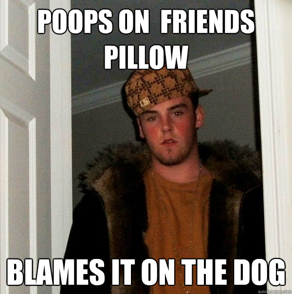 Poops on  Friends Pillow Blames it on the dog  Scumbag Steve