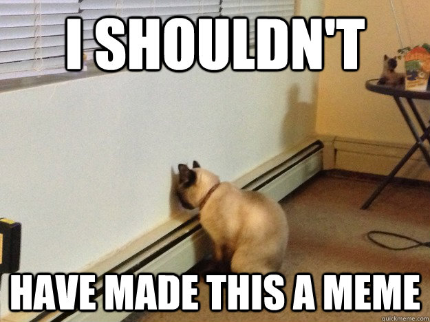I shouldn't have made this a meme  Regretful Cat