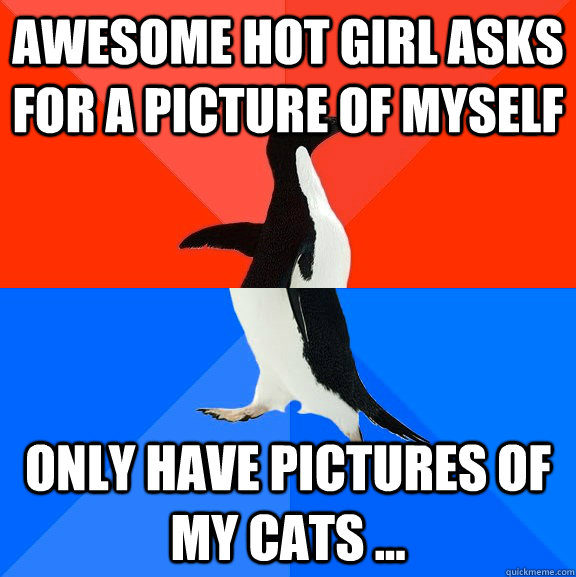 Awesome hot girl asks for a picture of myself Only have pictures of my cats ...  Socially Awesome Awkward Penguin