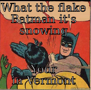 WHAT THE FLAKE BATMAN IT'S SNOWING YOUR IN VERMONT Slappin Batman