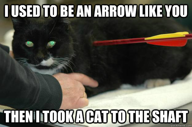 I used to be an arrow like you Then I took a Cat to the shaft  Worlds Toughest Cat