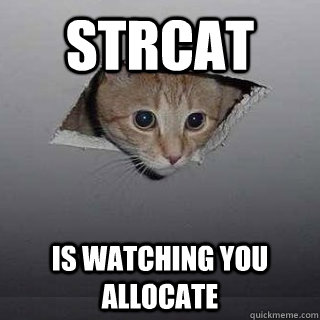 STRCAT is watching you allocate  Ceiling Cat