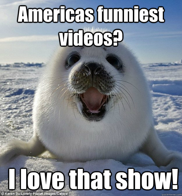 Americas funniest videos?  I love that show!  Easily Pleased Seal