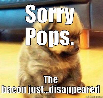 Teddy Bear Puppy - SORRY POPS. THE BACON JUST...DISAPPEARED Misc