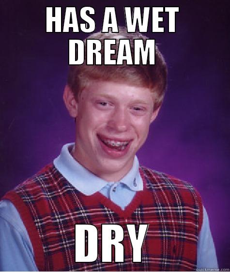 HAS A WET DREAM DRY Bad Luck Brian