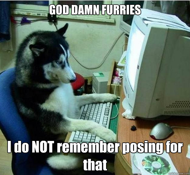 GOD DAMN FURRIES I do NOT remember posing for that  Disapproving Dog