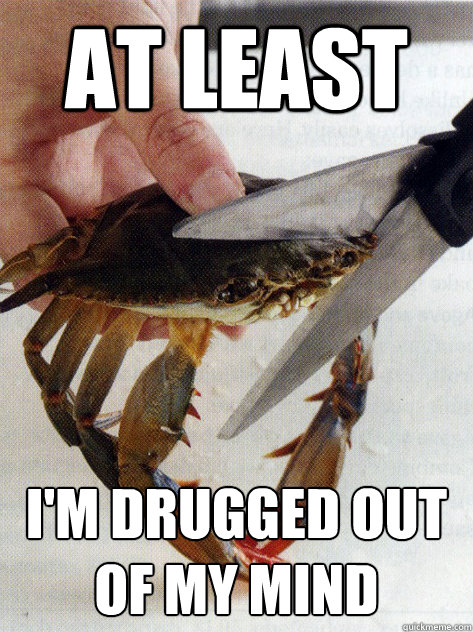 At least I'm drugged out of my mind  Optimistic Crab