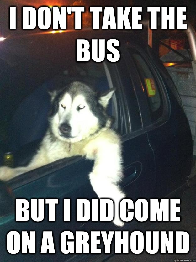 I don't take the bus But I did come on a greyhound  Mean Dog