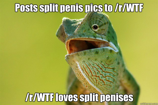 Posts split penis pics to /r/WTF /r/WTF loves split penises  