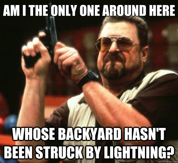 Am I the only one around here Whose backyard hasn't been struck by lightning?  Big Lebowski