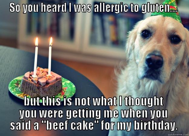 Meat Cake - SO YOU HEARD I WAS ALLERGIC TO GLUTEN.... BUT THIS IS NOT WHAT I THOUGHT YOU WERE GETTING ME WHEN YOU SAID A 