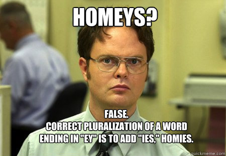 Homeys? FALSE.  
correct pluralization of a word ending in 