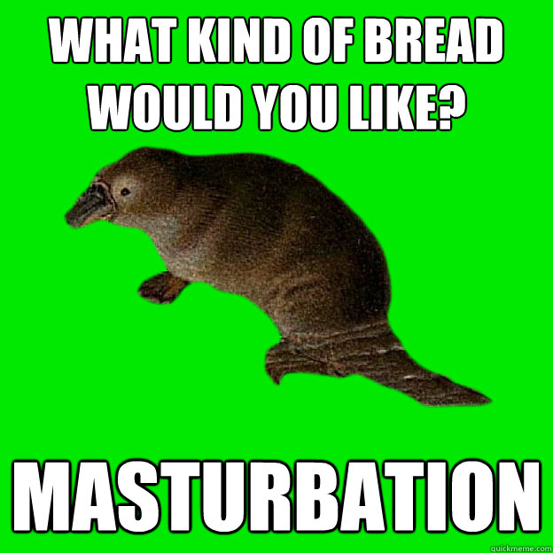 What kind of bread would you like? Masturbation   Non-sequitur Platypus