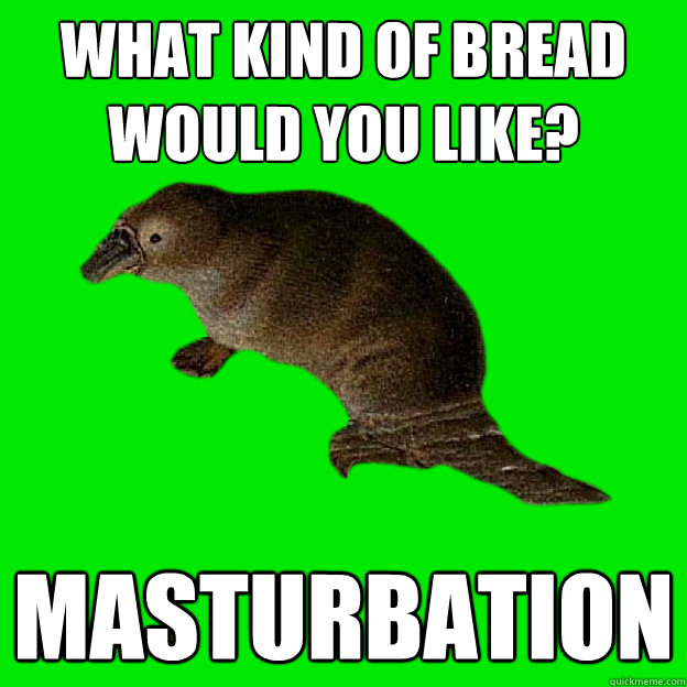 What kind of bread would you like? Masturbation  - What kind of bread would you like? Masturbation   Non-sequitur Platypus