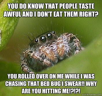 you do know that people taste awful and I don't eat them right? you rolled over on me while i was chasing that bed bug i swear!! why are you hitting me!?!?! - you do know that people taste awful and I don't eat them right? you rolled over on me while i was chasing that bed bug i swear!! why are you hitting me!?!?!  Misunderstood Spider