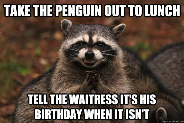 take the penguin out to lunch tell the waitress it's his birthday when it isn't  - take the penguin out to lunch tell the waitress it's his birthday when it isn't   Evil Plotting Raccoon