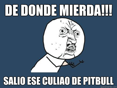 DE DONDE MIERDA!!! salio ese culiao de pitbull  Y U No