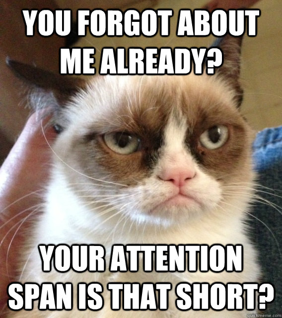 you forgot about me already? your attention span is that short? - you forgot about me already? your attention span is that short?  Not Amused Grumpy Cat