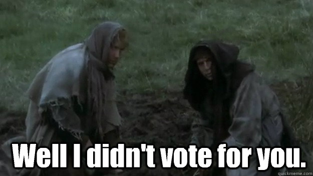  Well I didn't vote for you. -  Well I didn't vote for you.  Well I didnt vote for you.