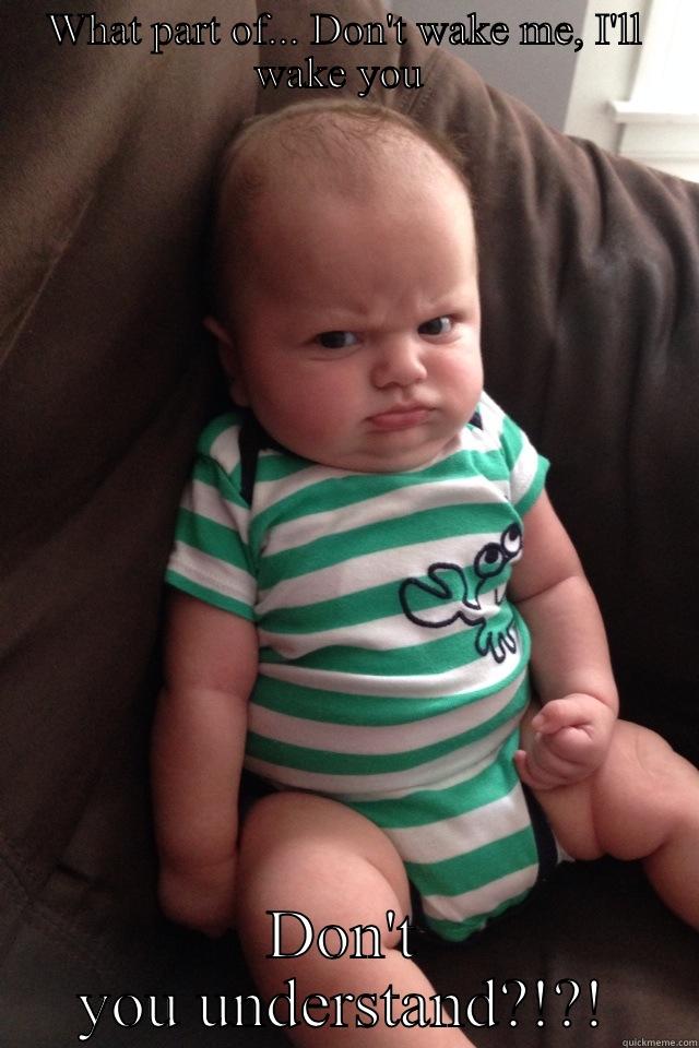 WHAT PART OF... DON'T WAKE ME, I'LL WAKE YOU  DON'T YOU UNDERSTAND?!?! Success Kid