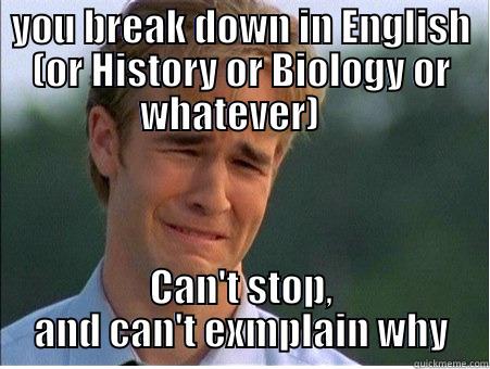 You know you're an IB student if... - YOU BREAK DOWN IN ENGLISH (OR HISTORY OR BIOLOGY OR WHATEVER)    CAN'T STOP, AND CAN'T EXMPLAIN WHY 1990s Problems