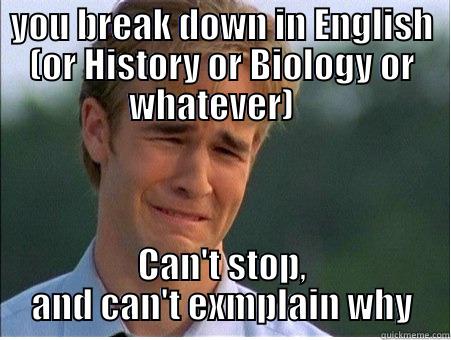 YOU BREAK DOWN IN ENGLISH (OR HISTORY OR BIOLOGY OR WHATEVER)    CAN'T STOP, AND CAN'T EXMPLAIN WHY 1990s Problems