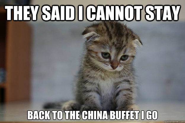 They said I cannot stay back to the china buffet i go - They said I cannot stay back to the china buffet i go  Sad Kitten