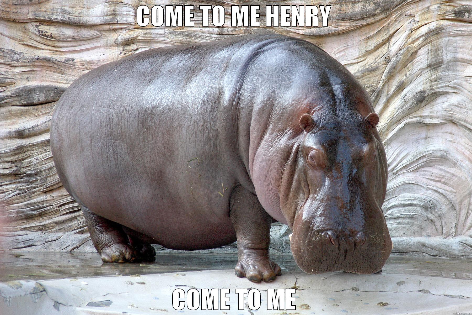 COME TO ME HENRY COME TO ME Misc