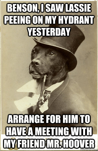 Benson, I saw Lassie peeing on my hydrant yesterday Arrange for him to have a meeting with my friend Mr. Hoover  Old Money Dog