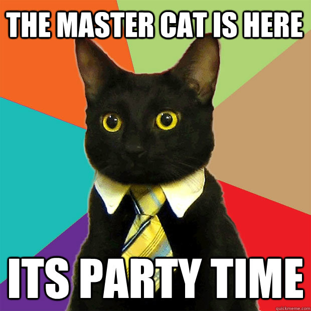 The master cat is here ITs party time  Business Cat