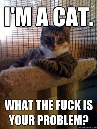 I'm a cat. what the fuck is your problem?  The Most Interesting Cat in the World