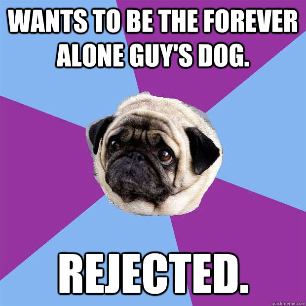 Wants to be the Forever Alone guy's dog. Rejected.  Lonely Pug