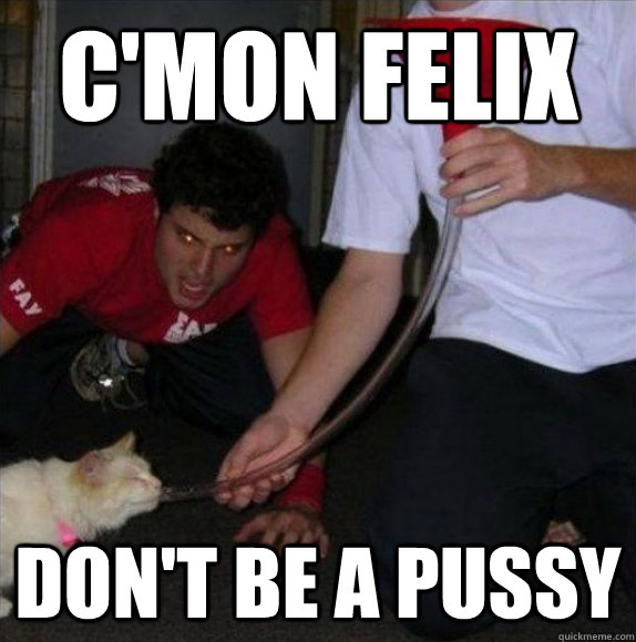 C'MON FELIX DON'T BE A PUSSY - C'MON FELIX DON'T BE A PUSSY  Frat Cat