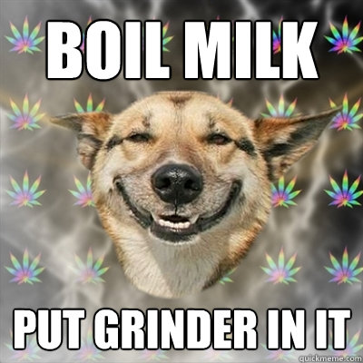 Boil Milk Put Grinder in it - Boil Milk Put Grinder in it  Stoner Dog